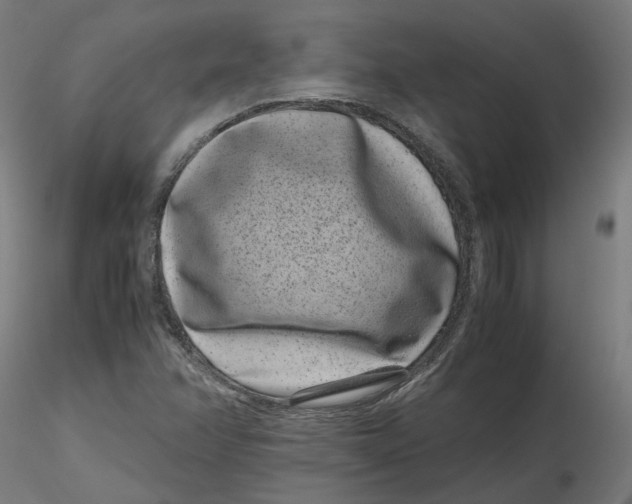 X0000116761358201001071146