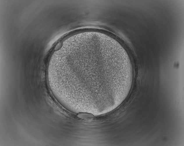 X0000116761360201001071146