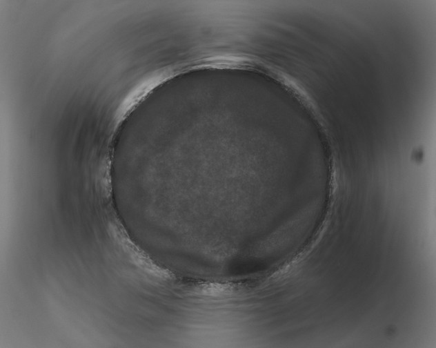 X0000116761362201001071146