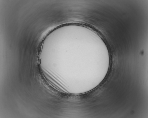 X0000116761363201001071146