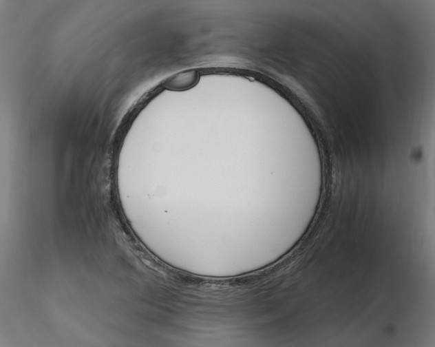 X0000116761364201001071146