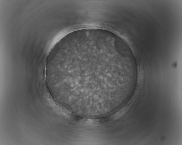 X0000116761365201001071146