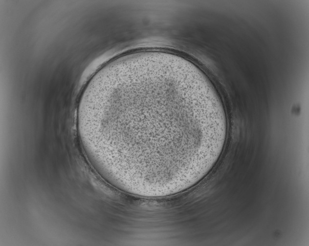 X0000116761366201001071146