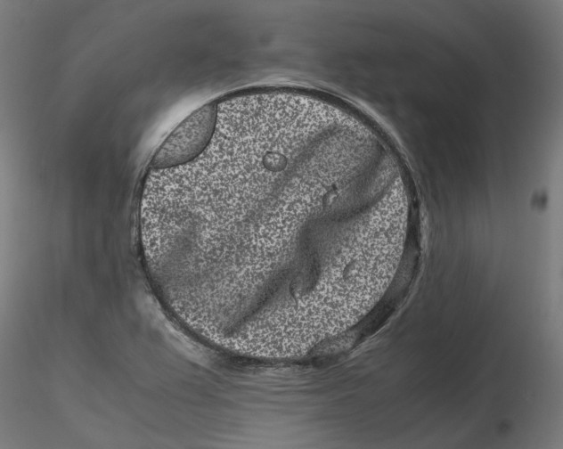 X0000116761367201001071146