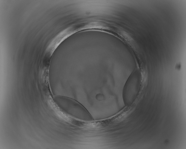 X0000116761369201001071146