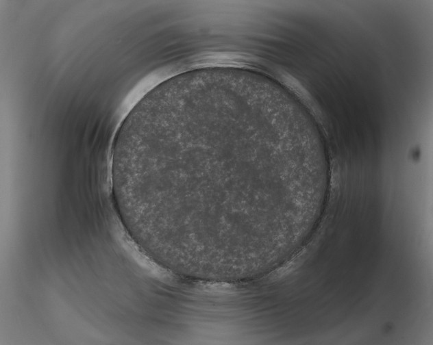 X0000116761370201001071146