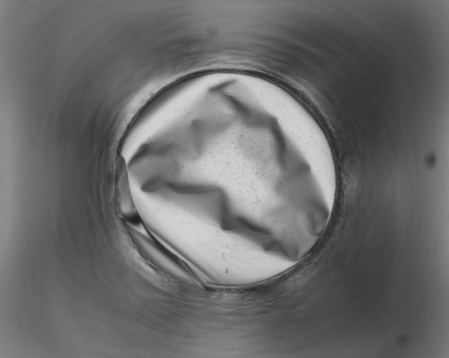 X0000116761371201001071146