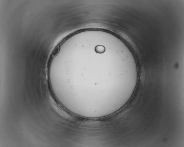 X0000116761372201001071146