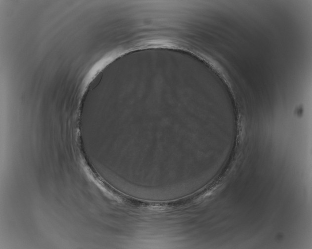 X0000116761373201001071146