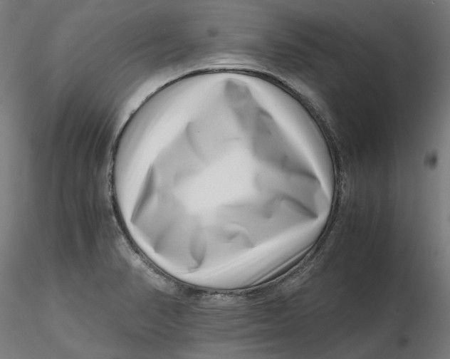 X0000116761374201001071146