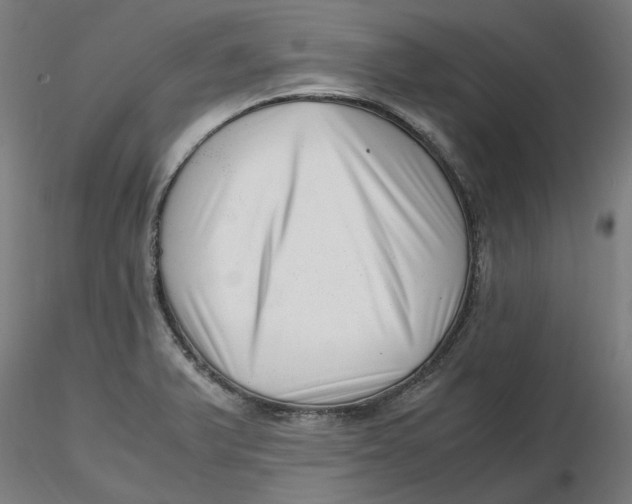 X0000116761375201001071146