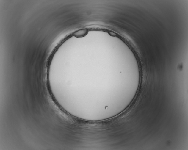 X0000116761376201001071146