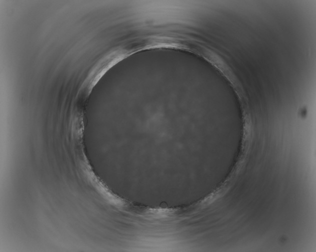 X0000116761377201001071146