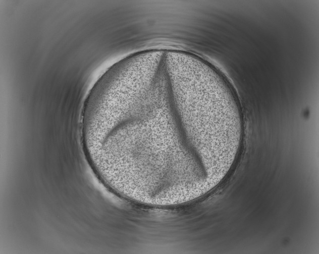 X0000116761379201001071146