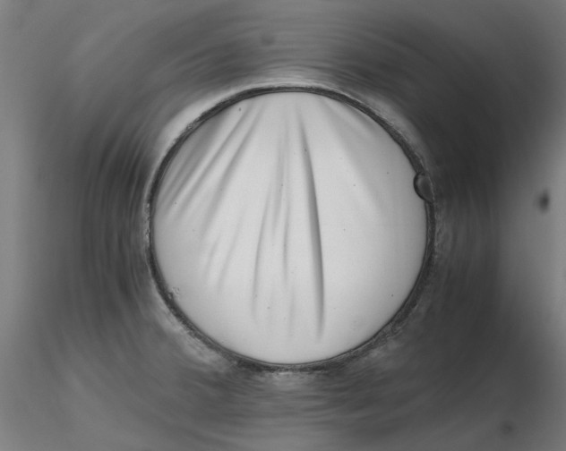 X0000116761380201001071146