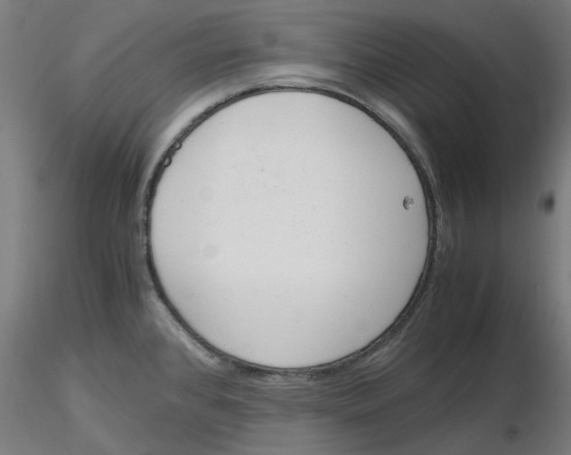 X0000116761384201001071146