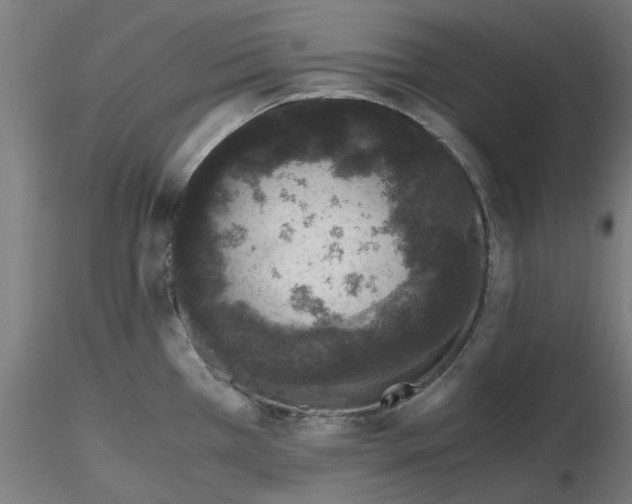 X0000116761385201001071146