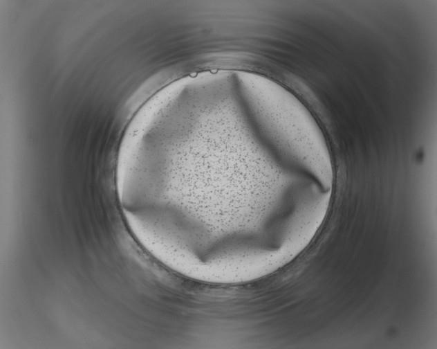 X0000116761386201001071146