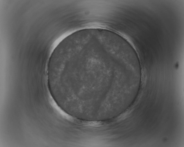 X0000116761387201001071146