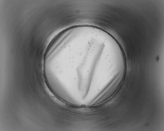 X0000116761388201001071146