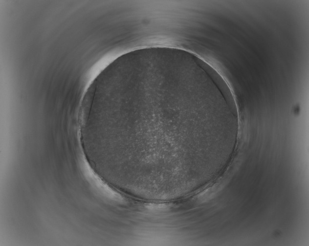 X0000116761389201001071146