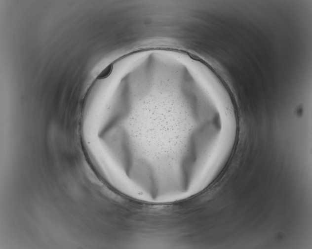 X0000116761390201001071146