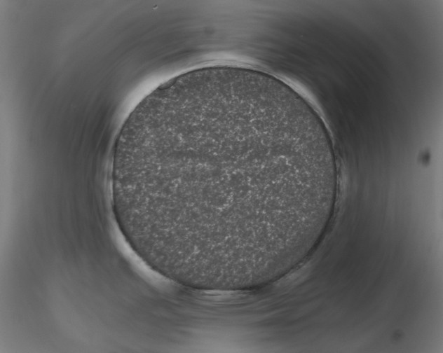 X0000116761391201001071146