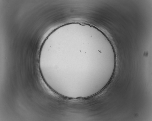 X0000116761392201001071146