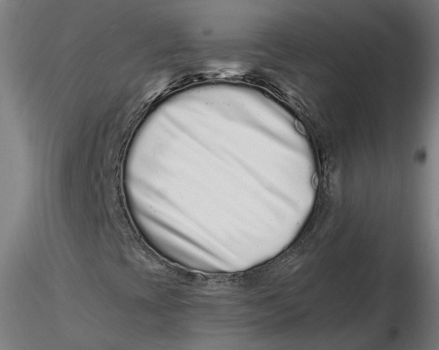 X0000116761393201001071145