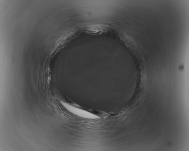 X0000116761394201001071145