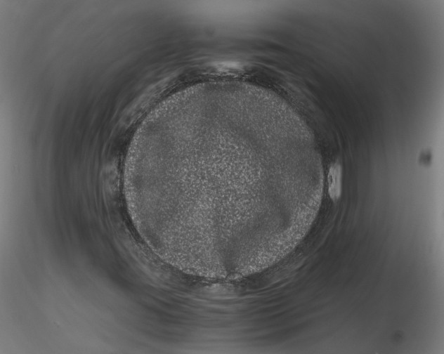 X0000116761395201001071145