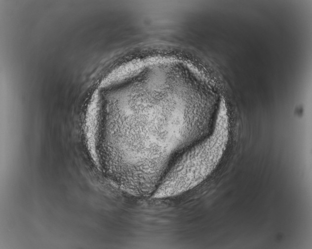 X0000116761397201001071145