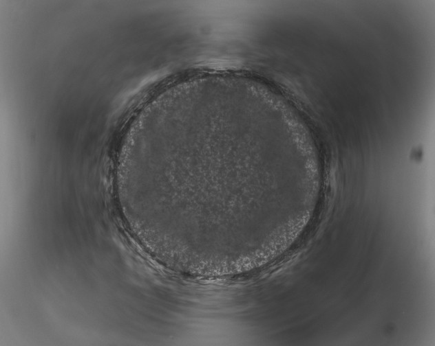 X0000116761398201001071145