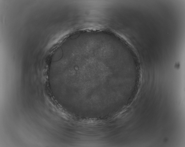 X0000116761399201001071145