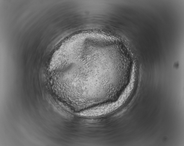 X0000116761401201001071145