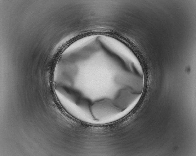 X0000116761402201001071145