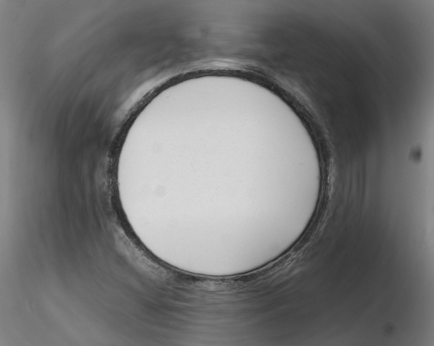 X0000116761404201001071145