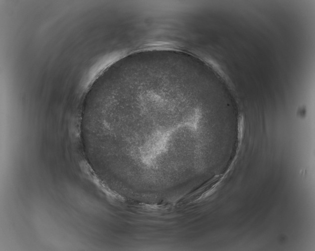 X0000116761405201001071145