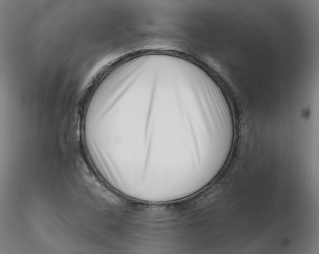 X0000116761408201001071145