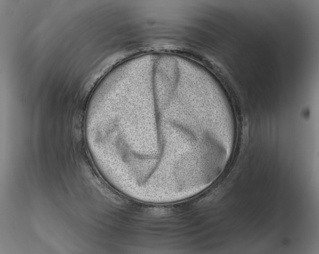 X0000116761409201001071145