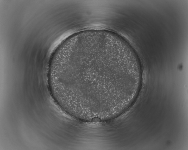 X0000116761410201001071145