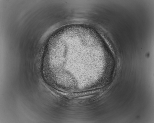 X0000116761411201001071145