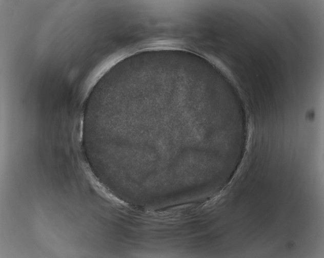 X0000116761413201001071146