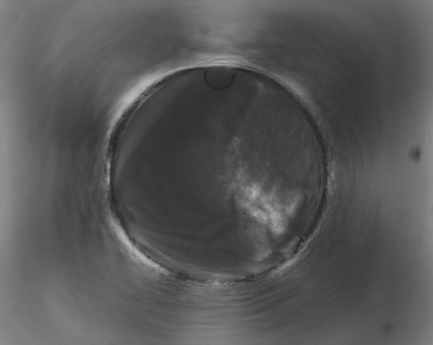 X0000116761414201001071146