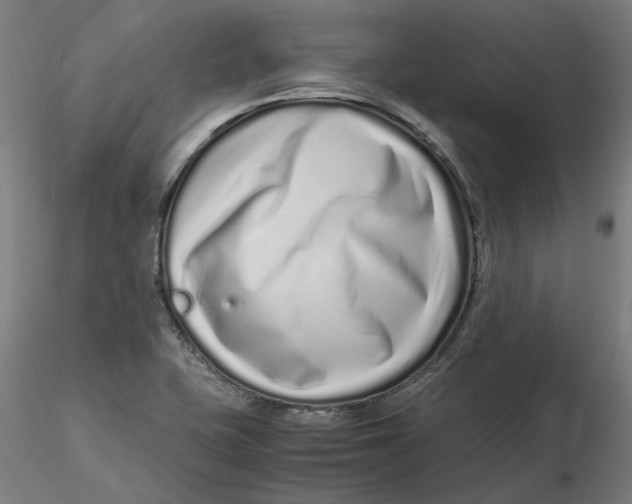 X0000116761415201001071146