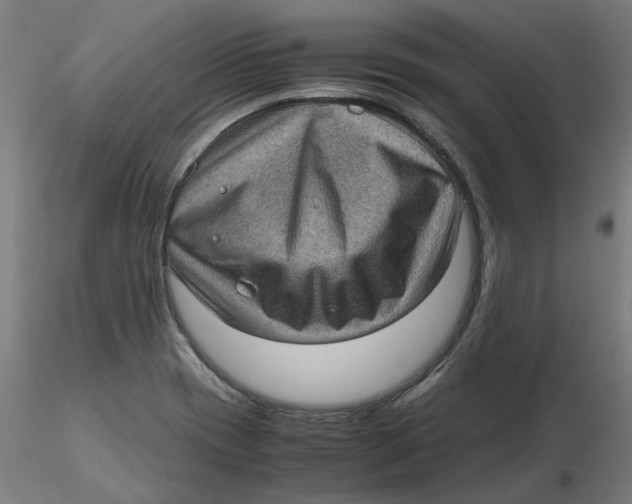 X0000116761417201001071146