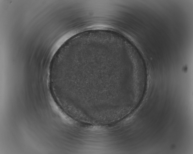 X0000116761418201001071146