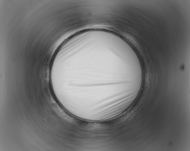 X0000116761420201001071146