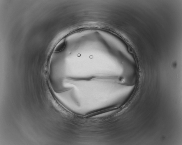 X0000116761421201001071146