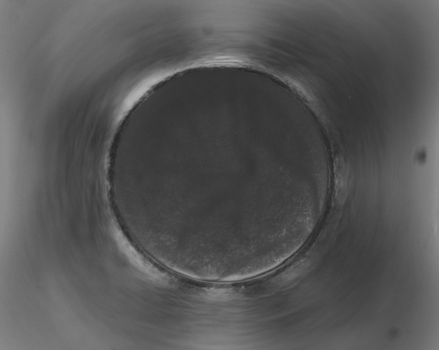 X0000116761422201001071146